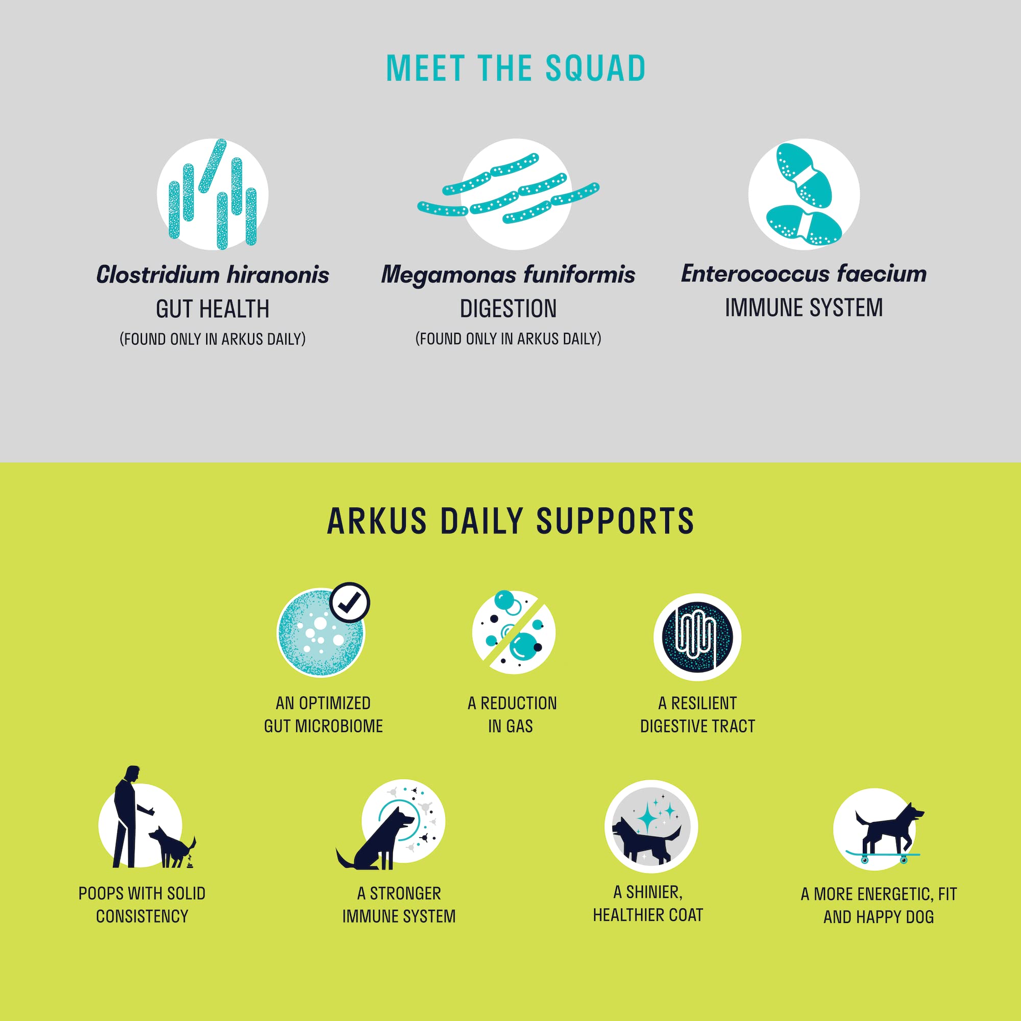 ARKUS Daily Dog Probiotic: Improve Gut Health Naturally