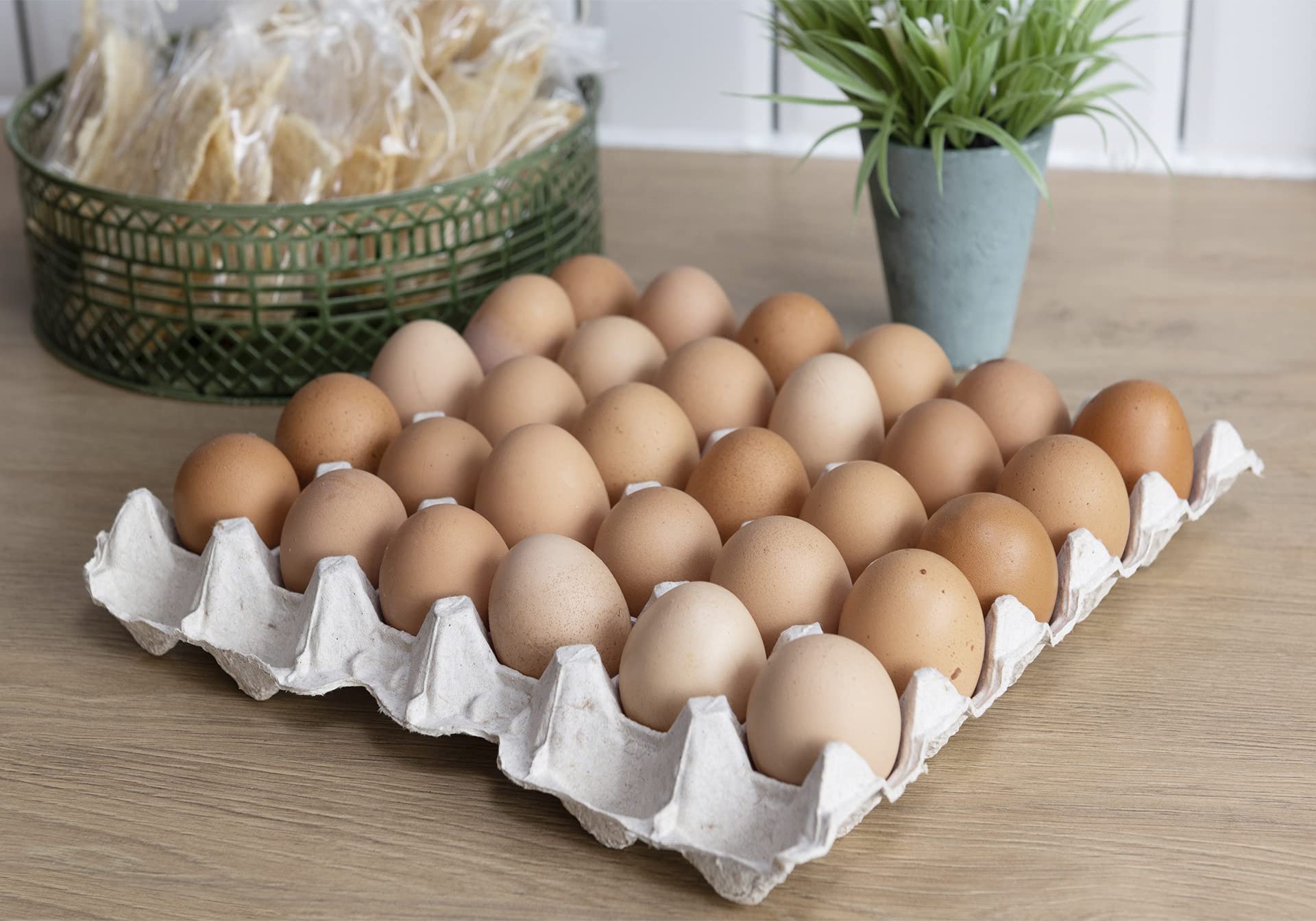 CROKI Egg Trays - Stackable 30 Egg Capacity Eco-Friendly Pulp Flats